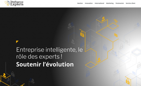 https://www.intelligence-experts.fr